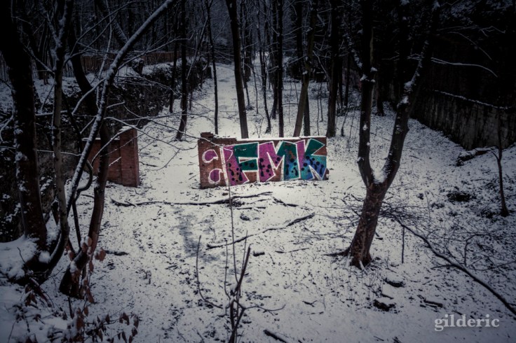 Photographier la neige (laChartreuse, Liège) - Photo : Gilderic