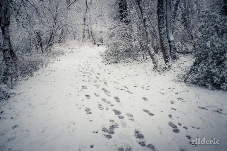 Photographier la neige (traces de pas) - Photo : Gilderic