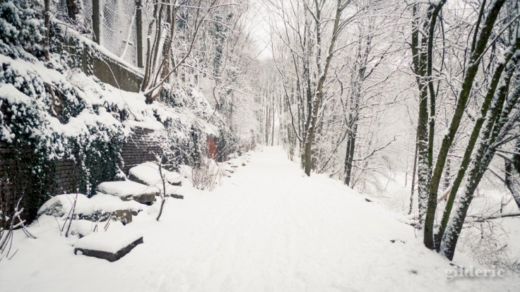 Photographier la neige (exposition) - Photo : Gilderic