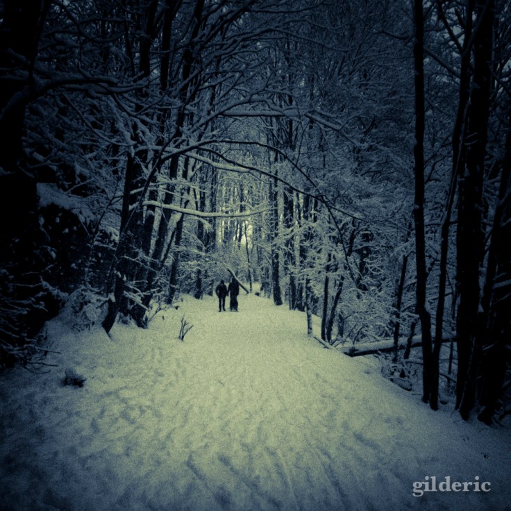 Photographier la neige (laChartreuse, Liège) - Photo : Gilderic