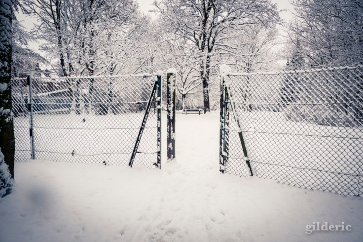 Photographier la neige (laChartreuse, Liège) - Photo : Gilderic