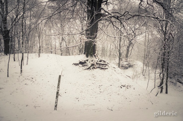 Photographier la neige (laChartreuse, Liège) - Photo : Gilderic