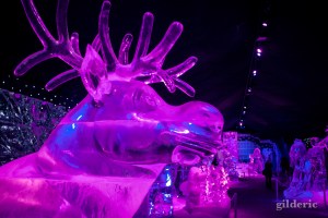 Sven (la Reine des Neiges) - Disneyland Ice Dreams - Photo : Gilderic