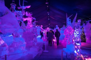 Disneyland Ice Dreams - Photo : Gilderic