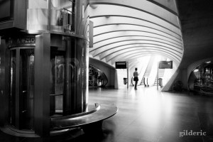 Gare de Liège-Guillemins - Photo : Gilderic