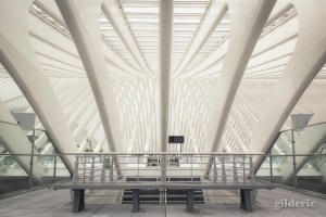 LIège-Guillemins (Belgique) - Photo : Gilderic