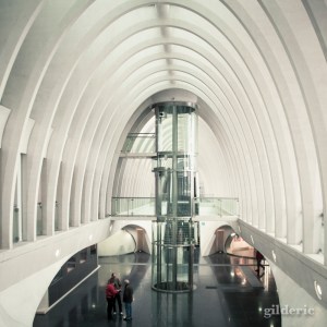 Gare de Liège-Guillemins - Photo : Gilderic