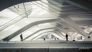 LIège-Guillemins (Belgique) - Photo : Gilderic