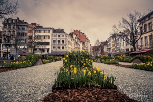 Parterre de fleurs à Liège - photo : Gilderic