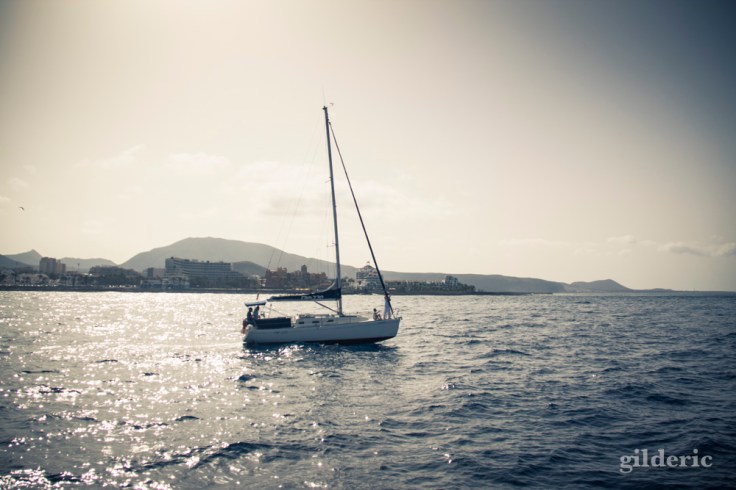 Voilier au large de Tenerife - Photo : Gilderic