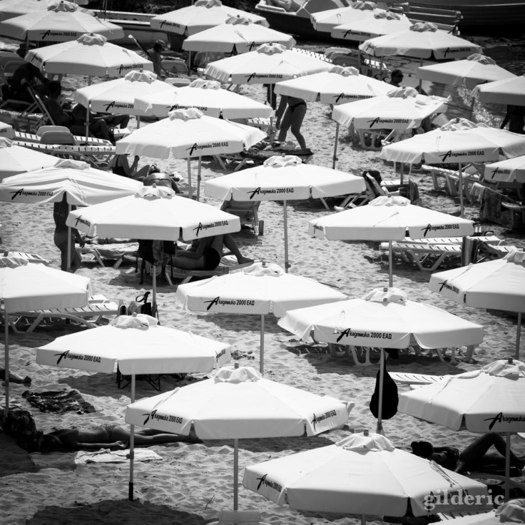 Champ de parasols sur la plage (Bulgarie) - Photo : Gilderic