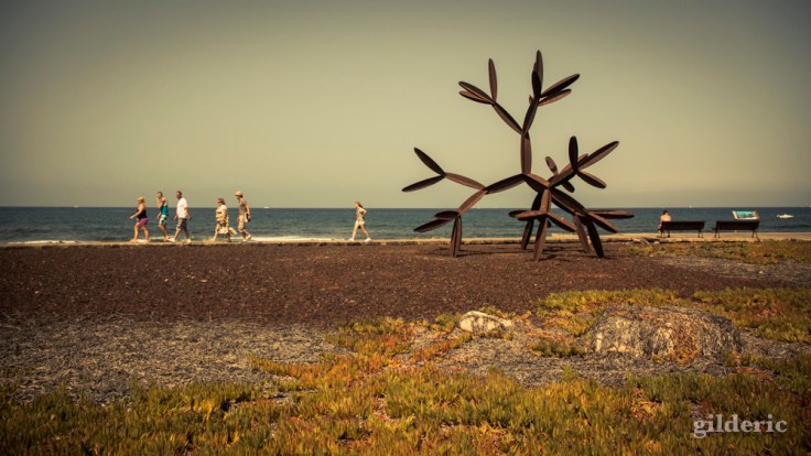 Sculpture à la mer (Playa de Las Americas, Tenerife) - Photo : Gilderic