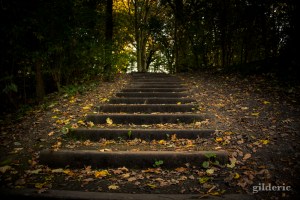 Balade en automne (La Chartreuse, Liège) - Photo : Gilderic