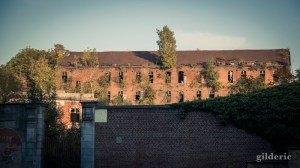 Balade en automne (La Chartreuse, Liège) - Photo : Gilderic