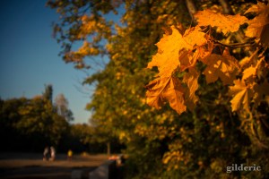 Balade en automne (La Chartreuse, Liège) - Photo : Gilderic