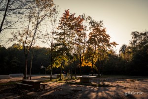 Balade en automne (La Chartreuse, Liège) - Photo : Gilderic