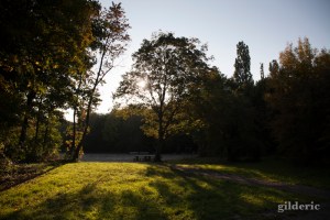 Balade en automne (La Chartreuse, Liège) - Photo : Gilderic
