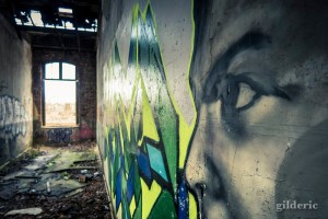 Un oeil vert vous regarde - Fort de la Chartreuse