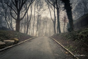 Brumeuse Chartreuse (Liège, Belgique)