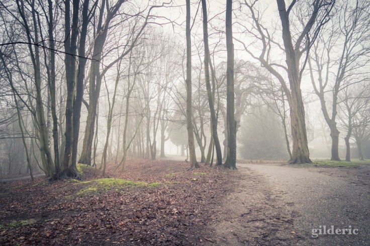 Brumeuse Chartreuse (Liège, Belgique)