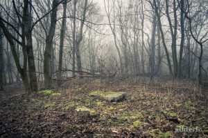 Brumeuse Chartreuse (Liège, Belgique)