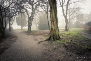 Brumeuse Chartreuse (Liège, Belgique)