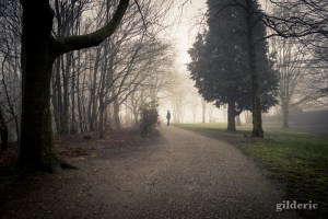 Brumeuse Chartreuse (Liège, Belgique)