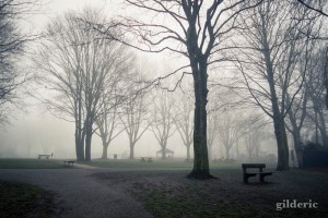 Brumeuse Chartreuse (Liège, Belgique)