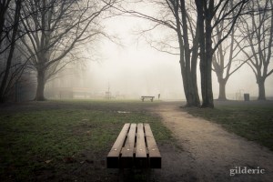 Brumeuse Chartreuse (Liège, Belgique)