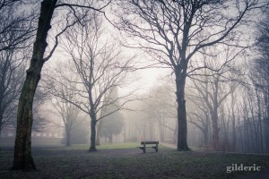 Brumeuse Chartreuse (Liège, Belgique)
