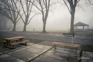 Brumeuse Chartreuse (Liège, Belgique)