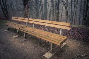 Brumeuse Chartreuse (Liège, Belgique)