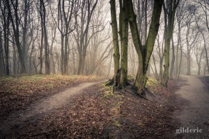 Brumeuse Chartreuse (Liège, Belgique)