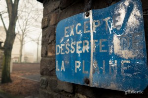Brumeuse Chartreuse (Liège, Belgique)
