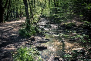 Balade au Ninglinspo (Belgique)