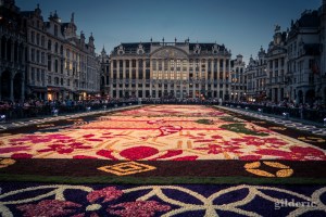 Le Tapis de fleurs de la Grand-Place de Bruxelles