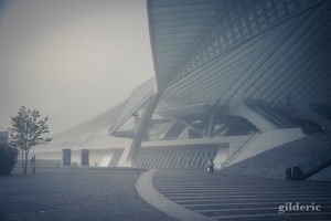 La gare de Liège-Guillemins dans le brouillard