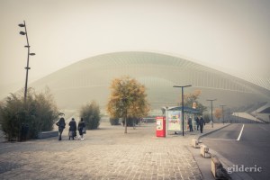 Brumeux voyage... (Liège-Guillemins dans le brouillard)