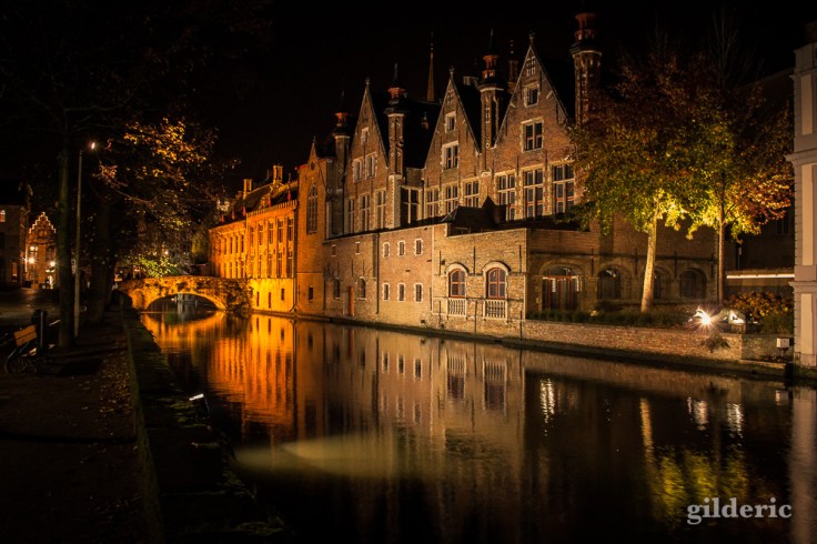 La nuit, les maisons médiévales se reflètent dans les eaux des canaux de Bruges.