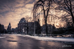 Les Bruyères en hiver, Liège)