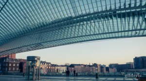 Gare de Liège-Guillemins
