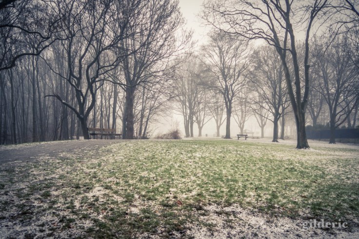 Neige et brouillard (parc de la Chartreuse, Liège)