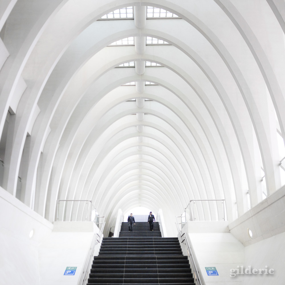 La Gare de Liège-Guillemins