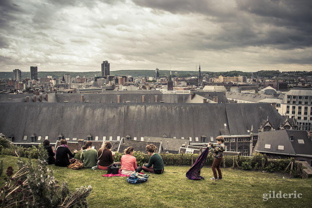 Depuis les Coteaux de la Citadelle, un joli point de vue sur les toits du centre historique de Liège