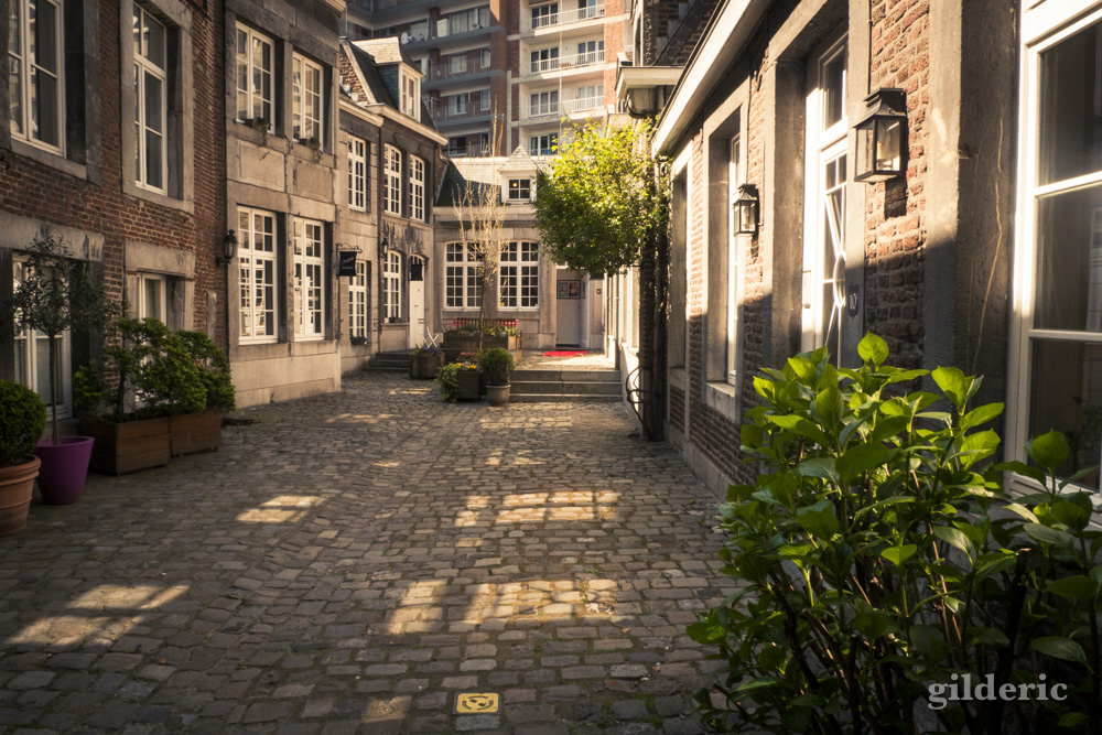Cour Saint-Remy (Liège)