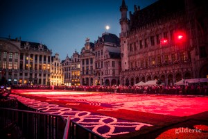 Le tapis de fleurs de la Grand-Place (Bruxelles)