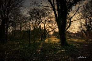Le domaine de la Chartreuse