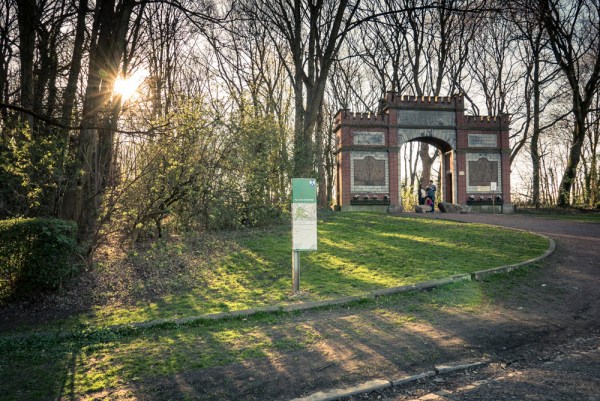 Ombres et lumières, végétal et ruines à la Chartreuse