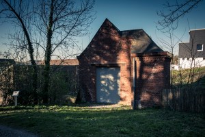 Ombres et lumières, végétal et ruines à la Chartreuse
