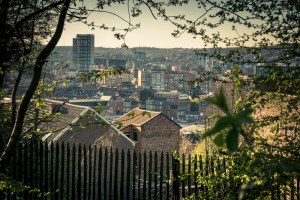 Ombres et lumières, végétal et ruines à la Chartreuse